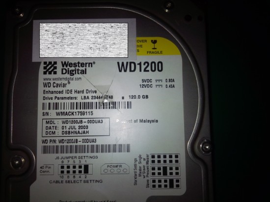 wd1200.jpg