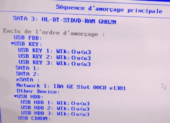 defective-16-gb-flash-drive-in-BIOS.jpg
