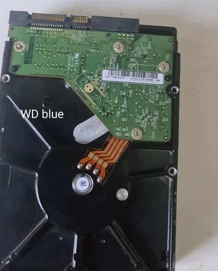 wd-blue-for restore back.jpg.jpg