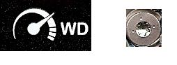 WD-WHATS-THIS.jpg