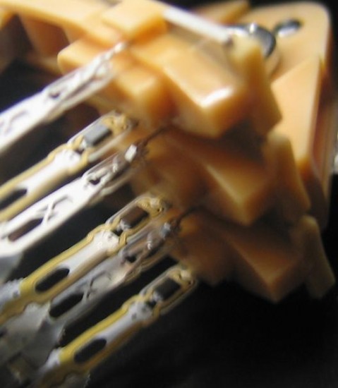 wd-all-heads.jpg