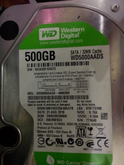 wd.jpg