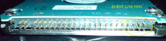 DSC00736A.jpg