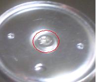 damaged screw.JPG