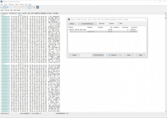 WorkingDisk_DMDE_physicaldisk_2_partition.jpg