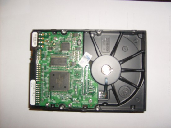 S6303145.JPG