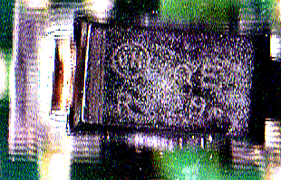 chip.gif