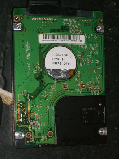 CIMG1153.JPG