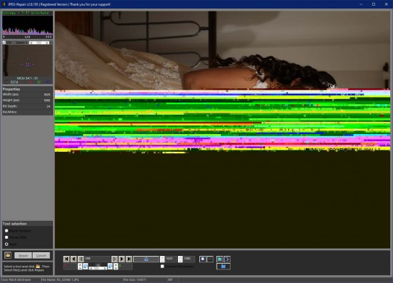 piece-of-jpeg.jpg