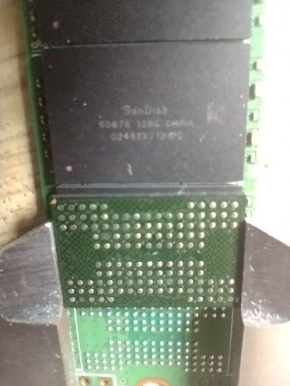 5445202960444419891.jpg