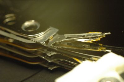 DSC_8287.JPG