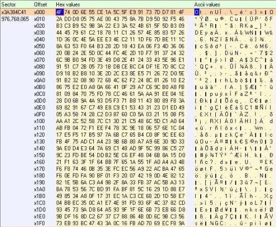 976768065.jpg