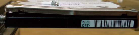 100_0315.JPG