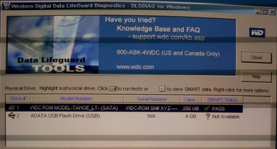 WD-Windows.JPG