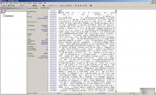 20d file.JPG