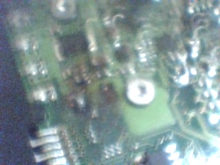 Picture 31.jpg