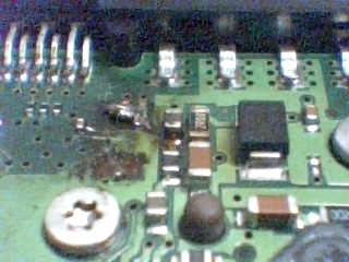Picture 33.jpg