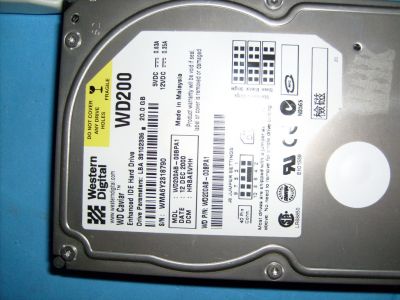 S6300002.JPG