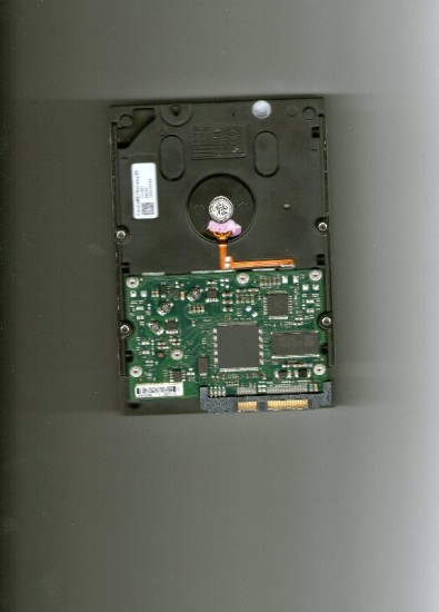 img005.jpg