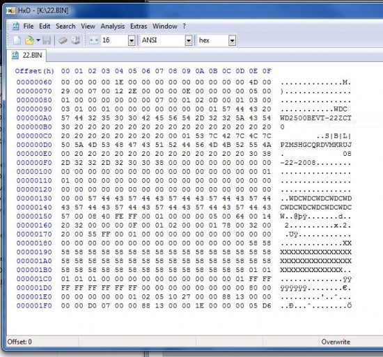 22bin.JPG