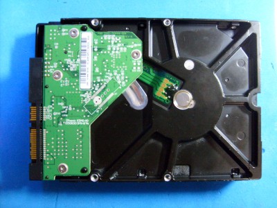 S6300012.JPG
