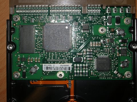 IMGP1690.JPG