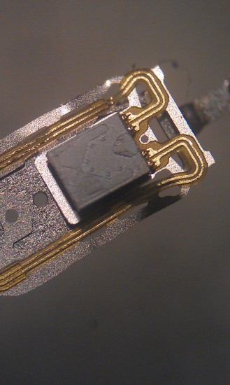 IMAG1669.jpg