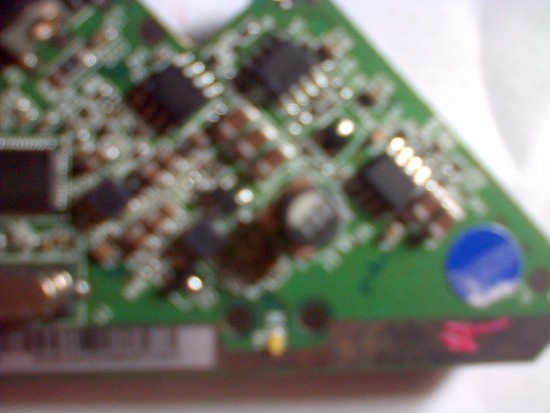IMG-20130930-00191.jpg