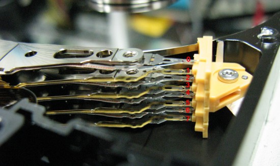 head arrangment.jpg