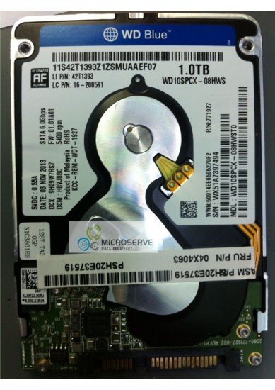 wd10spcx-08hwst0.jpg