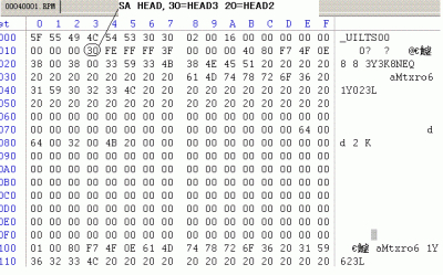 SA head.GIF