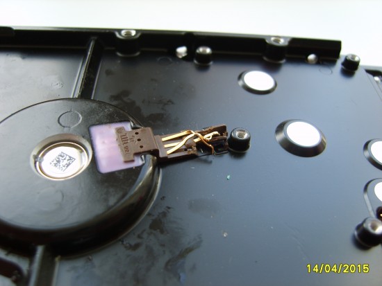 S8000464.JPG